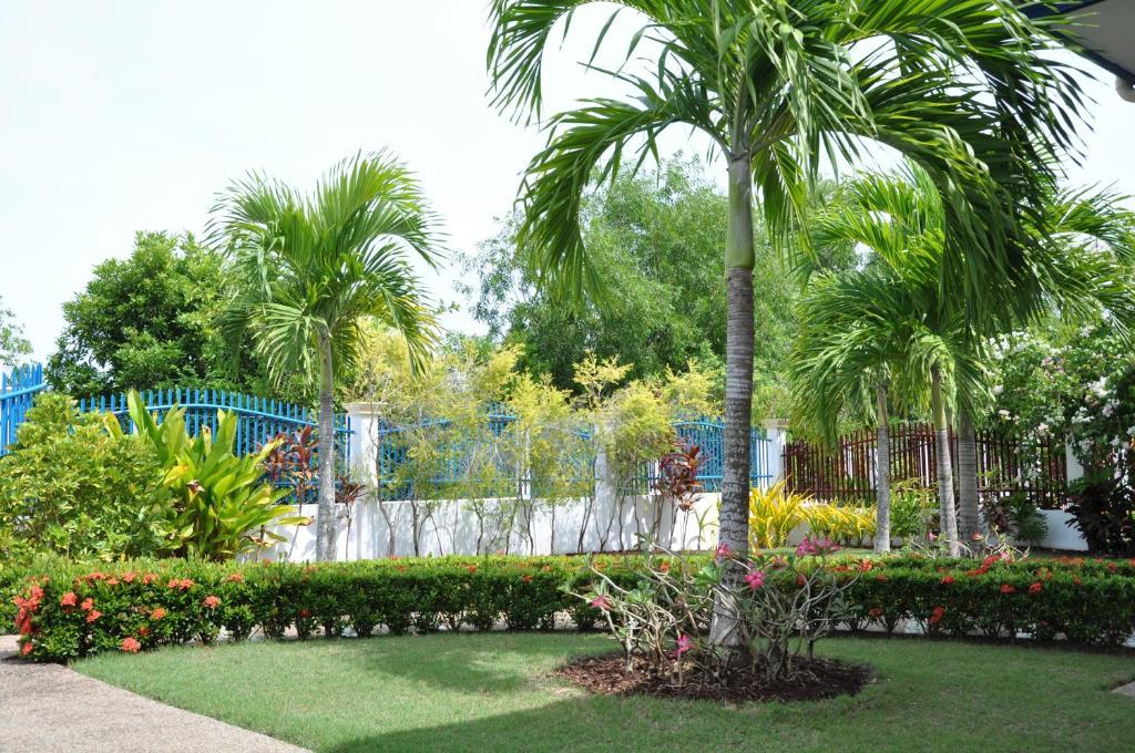 Olivia Resort Serviced Apartments And Bungalows Panglao Δωμάτιο φωτογραφία